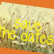 LCD! 2013 presentazione e flyer